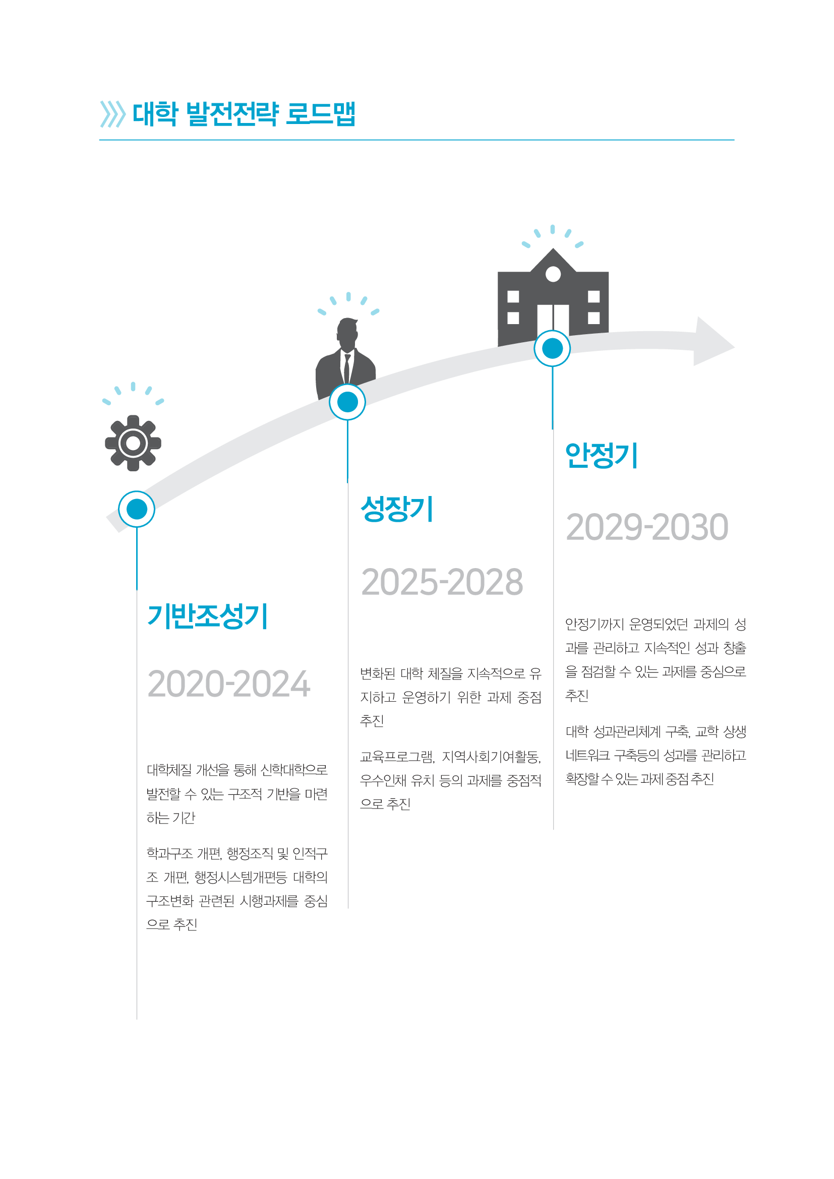 대학 발전전략 로드맵